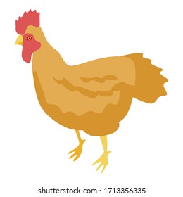 Golden rooster icon. Isometric of golden rooster vector icon for web design isolated on white background