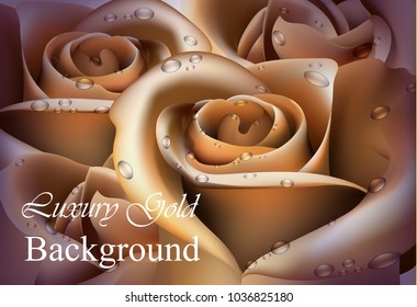 Golden Rose flower close up Vector realistic background. 3d illustration delicate colors