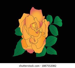 Golden rose flower on black background vector illustration with gradient effect.