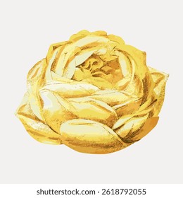 Golden rose illustration with intricate petals. The golden rose shines with detailed petals. A beautiful golden rose, perfect for floral-themed designs. Vintage rose illustration vector.