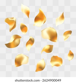Golden rose petals 3d Vector illustration, Mesh gradient used