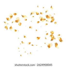 Golden rose petals falling motion , beautiful rose petal greeting card design, Love, romance, floral spring season