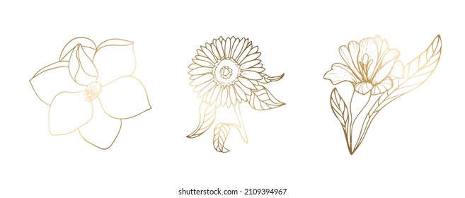Golden rose, sunflower, magnolia isolated on white background. Handmade flower. Vector illustration. For greeting cards and invitations for wedding, birthday, Valentines Day, Mothers Day and others.