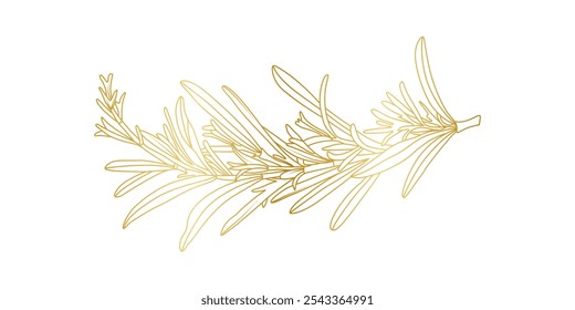 Goldene Rosmarin-Linien, einzeln auf weißem Hintergrund. Luxus Rosmarin Blätter Design-Elemente für Einladung, Kochen, Kosmetik, Tapete, Druckvorlage, Vektorgrafik