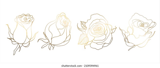 Golden roses isolated on white background. Hand drawn flower. Vector illustration. For greeting cards and wedding invitations, birthday, Valentines Day, Mothers Day and others.