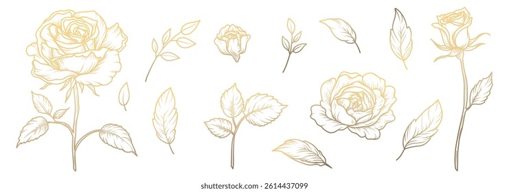 Golden roses set. Flowers and leaves line art isolated on white background. Vector illustration hand drawn for greeting cards and wedding invitations, birthday, Valentine's Day, save the date