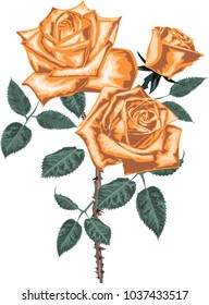 Golden roses vector art - Bouquet of golden  roses - vintage art