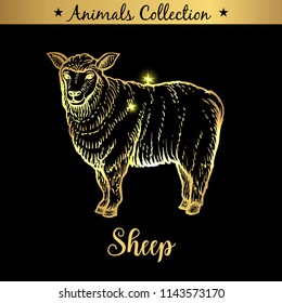 Golden and royal Hand Drawn Emblem of farm Sheep animal. Butchery shop branding, dietary meat products. Butcher market. Gold Outline Sketch and lettering. Contour drawing concept