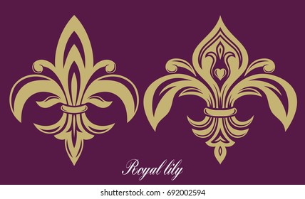 Golden royal lily. The past. Heraldic symbol. Elegant emblem in the form of a flower. Vintage drawing. Isolated object on a dark background. Vector.