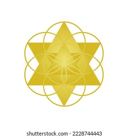 Golden sacred geometry. Seed of life. Mandala, meditation, decoration. Banner, brochure, poster, card. Vector illustration.
