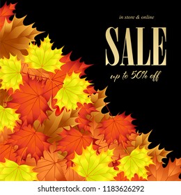 Golden sale on background of autumn leaves.