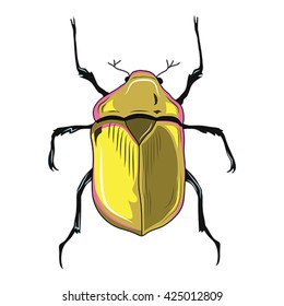 Golden Scarab Beetle on White 