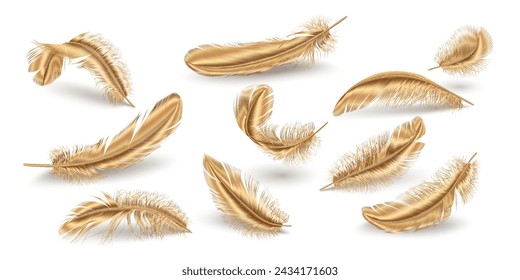 Golden scattered feathers realistic vector illustration set. Shiny plumage details variations. Elegant quills 3d elements on white background