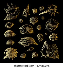 Golden sea shell. Collection of seashells. Hand drawn vector Illustration.