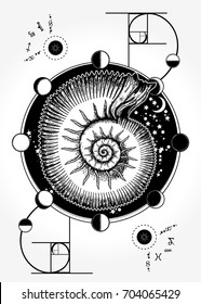 Sacred Geometry Nautilus High Res Stock Images Shutterstock