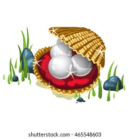 Golden shell with pearl on the seabed. Vector illustration.
