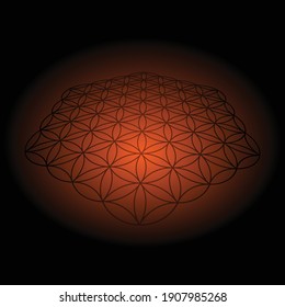 Golden shine lines flower of life isolated on black background. Magic symbol with astrology elements for sacred geometric wallpaper