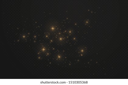 Golden shining sparks dust with stars on dark transparent background. Christmas light glowing particles.