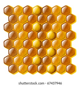 Golden and shiny cells of a honeycomb