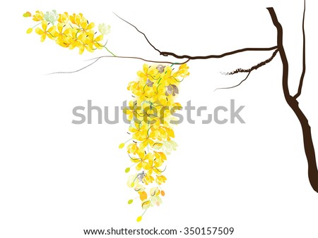 Can Free golden shower pic thanks for Recommend you Free golden shower pic