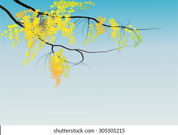 Golden shower tree on sky background ,Vector illustration