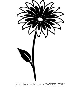 Golden Shrub Daisy flower vector on white background