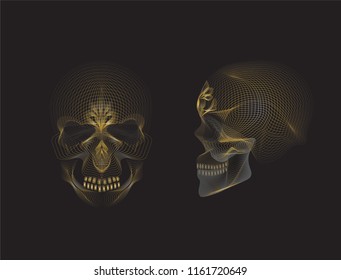 Golden skull head in front view and side view 