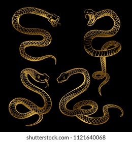 Golden snake set. Hand drawn snakes isolated on black background. Vector illustration