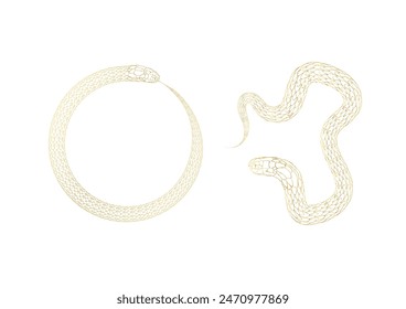 golden snake, silhouette, vector outline, symbol 2025, isolated on white background