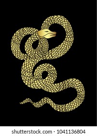 Golden snake vector.Lampropeltis triangulum vector.Sticker and hand drawn Gold snake for wallpaper.Red snake Reptile on Black background.