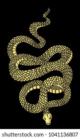 Golden snake vector.Lampropeltis triangulum vector.Sticker and hand drawn Gold snake for wallpaper.Red snake Reptile on Black background.
