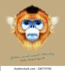 Golden snub-nosed monkey wild animal blue face. Vector Asian, Chinese, Japanese funny red-haired head primate portrait. Realistic fur portrait of jungle golden ape isolated on tan background.