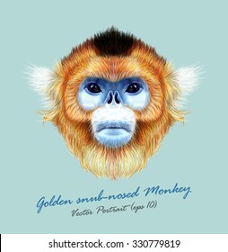 Golden snub-nosed monkey wild animal blue face. Vector Asian, Chinese, Japanese funny red-haired head primate portrait. Realistic fur portrait of jungle golden ape isolated on blue background.