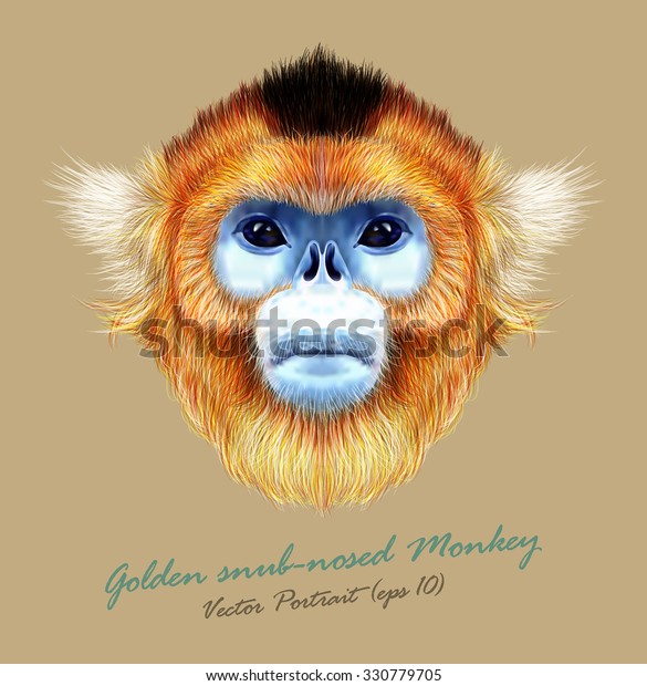 金色の鼻をした猿の野生動物の青い顔 ベクターアジア人 中国人 日本人の変な赤毛の頭霊長類のポートレート 茶色の背景にジャングルの金色のサルのリアルな毛皮のポートレート のベクター画像素材 ロイヤリティフリー