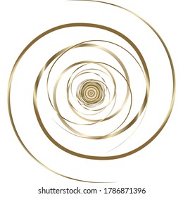Golden spiral with a rose in the center on a white background