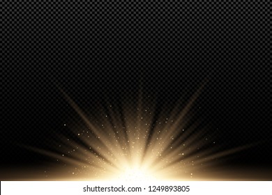 Golden stylish light effect on a dark transparent background. Golden rays. Bright explosion. Flying golden magical dust. Sunlight. Christmas light. Backlight. Vector illustration. EPS 10