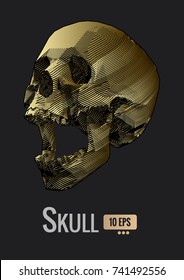 Golden stylized stripe line skull illustration on black background