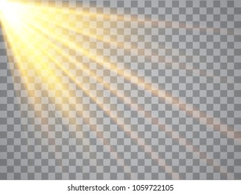 Golden sun rays and beams isolated. Warm light. Vector illustration