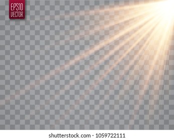 Golden sun rays and beams isolated. Warm light. Vector illustration