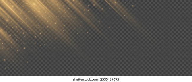 Golden sun rays effect with glowing dust isolated on a dark transparent background. Shimmering gold light. Soft sunbeams. Vector illustration. EPS 10.