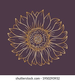 Golden sunflower on a purple background. Sunflower head outline. Hand drawn vector illustration for your design.