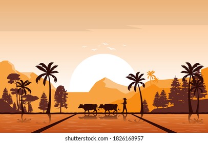 Golden Sunrise in Asian Rice Field Paddy Plantation Agriculture Illustration