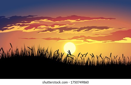 Golden sunset with grass silhouette and clouds