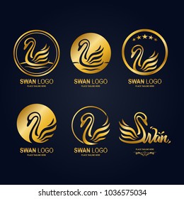 Golden swan icon set. Swan icon template