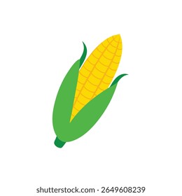 Golden sweet corn with green husk peeled clean veggie design Vector illustration
