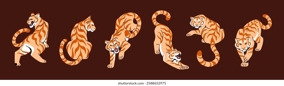 Golden tabby tiger set. Wild big cats with orange stripes are are in different poses. Bengal, Amur tigrises are angry, roaring, stretching. Dangerous jungle animals. Flat isolated vector illustrations