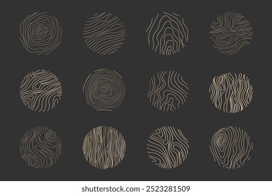 Coleção de anéis de árvore de linha fina dourada. Elegante ouro seção de madeira círculo textura. Contorno da grade geográfica do mapa de topografia. Madeira de coto.