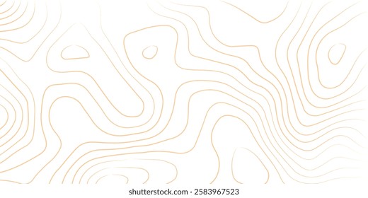 Golden Topography background. Vector banner. Topography map background. Vector geographic contour map. Background of the topographic map. Topographic map lines, contour background. 