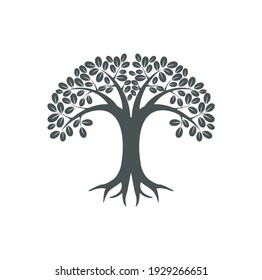 golden tree logo design, gold coin with plant concept