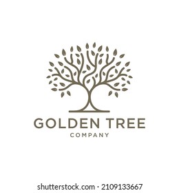 Golden Tree Oak Banyan Maple Emblem logo design vector template